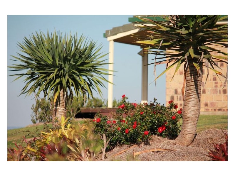 3328 Bentley Road, Cedar Point NSW 2474