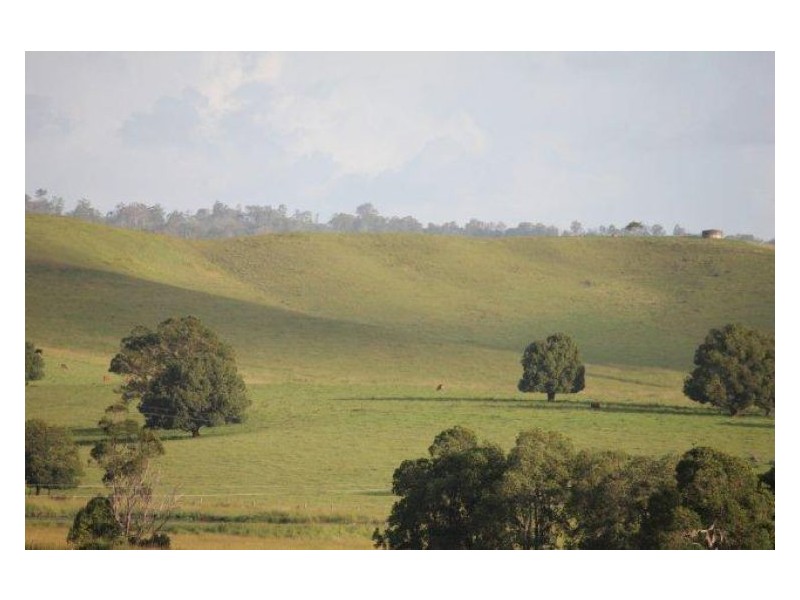 3328 Bentley Road, Cedar Point NSW 2474