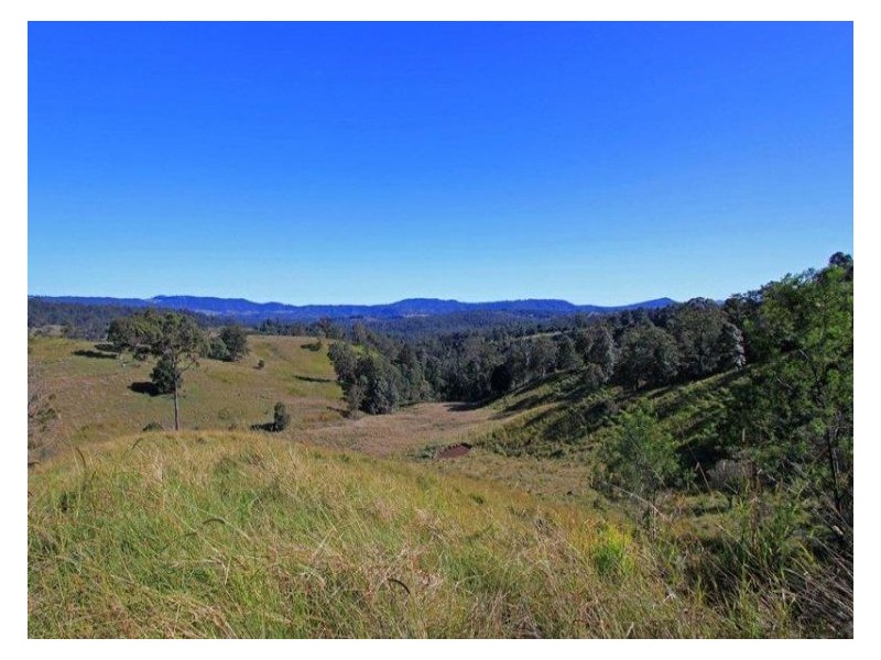 187 Whitney Rd, Stony Chute NSW 2480