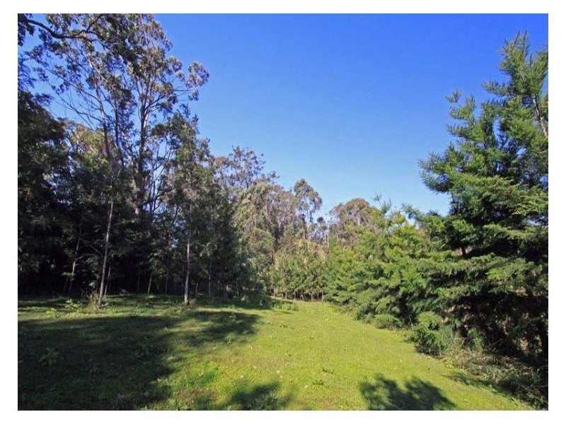 187 Whitney Rd, Stony Chute NSW 2480