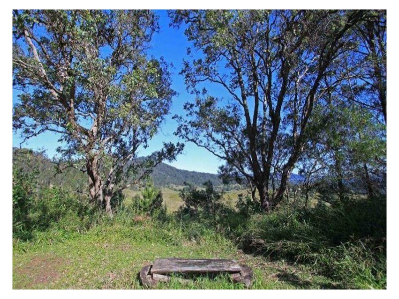 187 Whitney Rd, Stony Chute NSW 2480