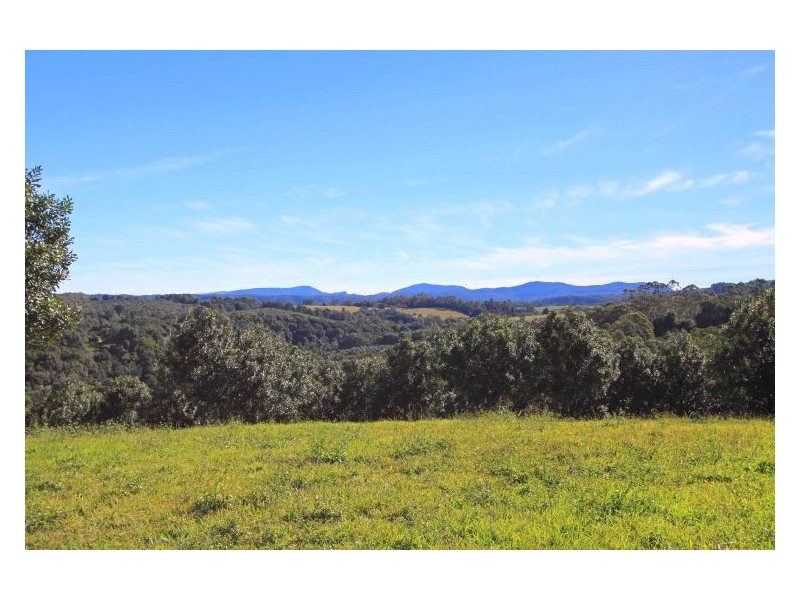 1799 Dunoon Road, Dunoon NSW 2480