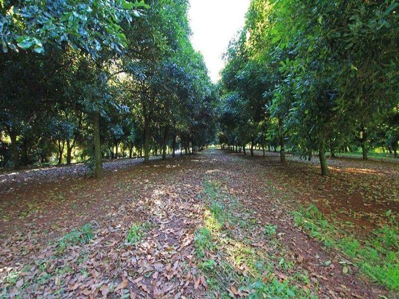 1799 Dunoon Road, Dunoon NSW 2480