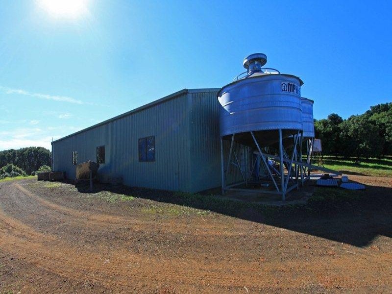 1799 Dunoon Road, Dunoon NSW 2480