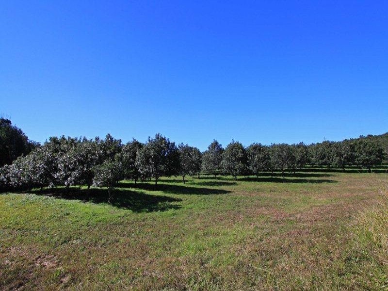 1799 Dunoon Road, Dunoon NSW 2480