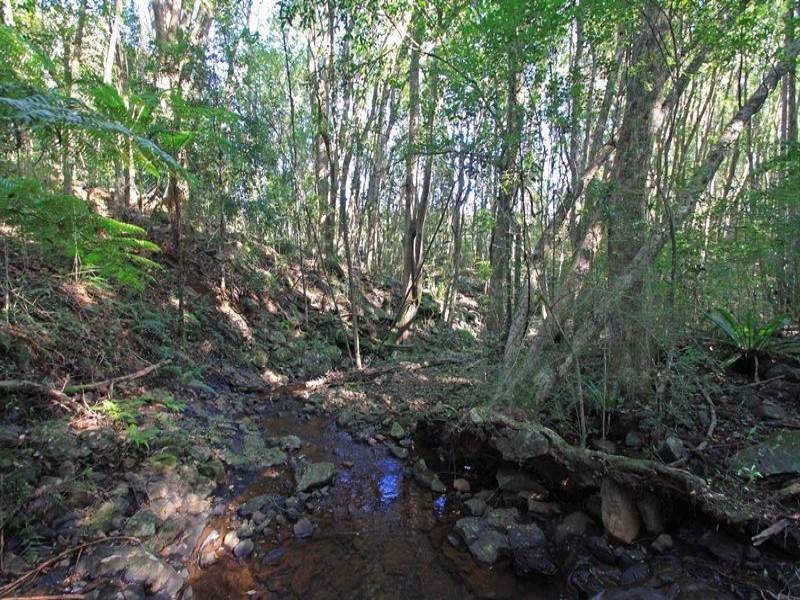 1799 Dunoon Road, Dunoon NSW 2480