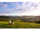 517 Pinchin Road, Goolmangar NSW 2480
