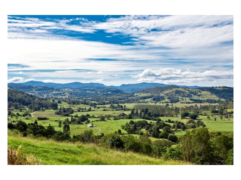 517 Pinchin Road, Goolmangar NSW 2480