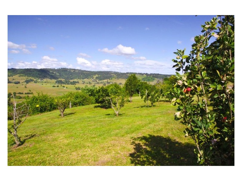 517 Pinchin Road, Goolmangar NSW 2480
