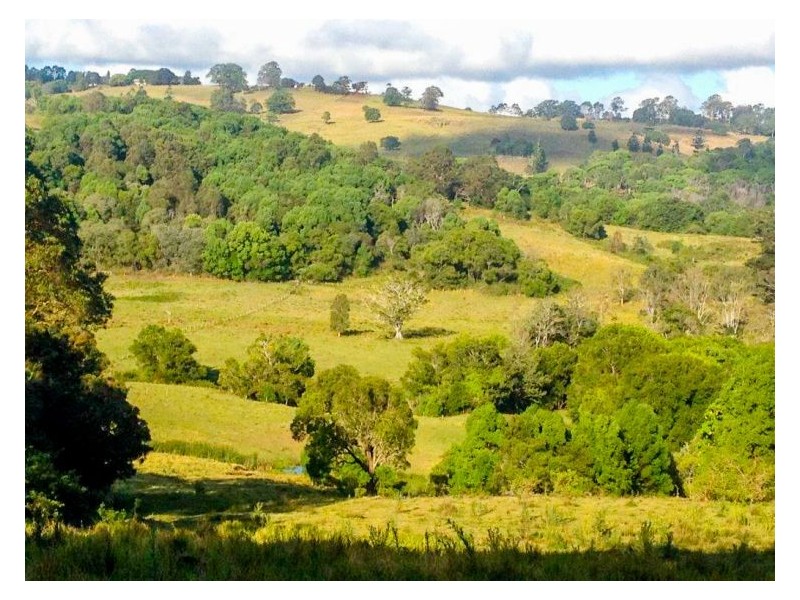 86 Henson Road, Wyrallah NSW 2480