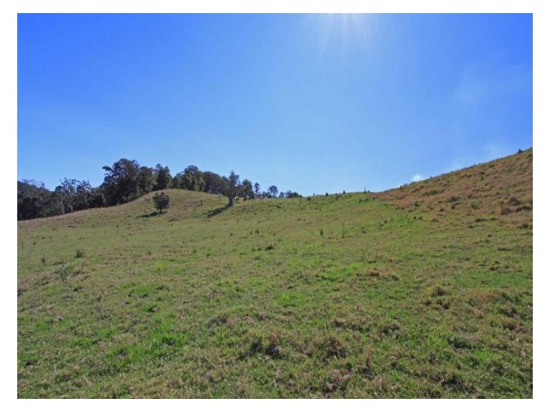 2 Cawongla Road, Rock Valley NSW 2480