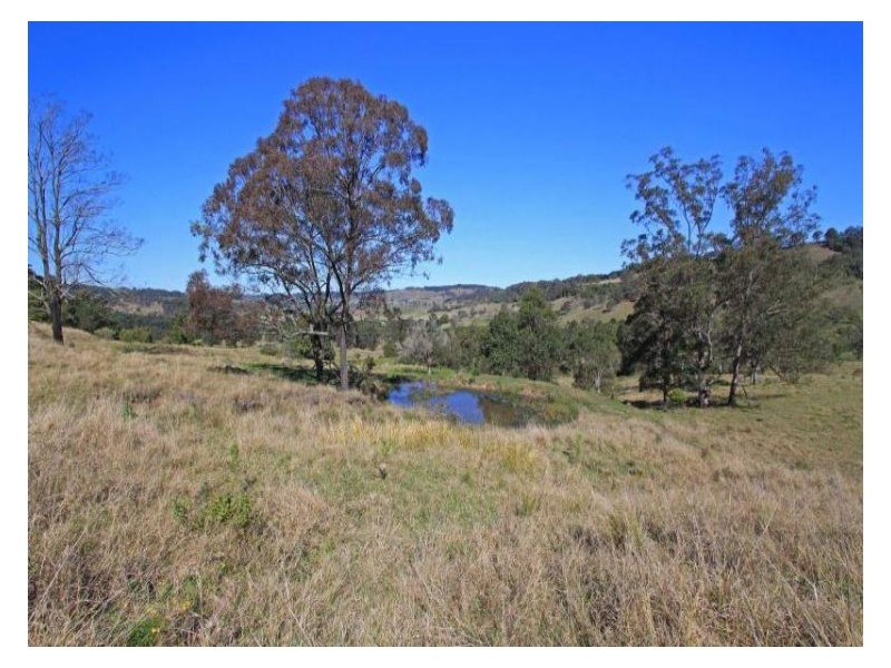 2 Cawongla Road, Rock Valley NSW 2480