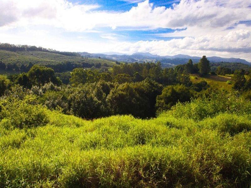 109 The Channon Road, Dunoon NSW 2480