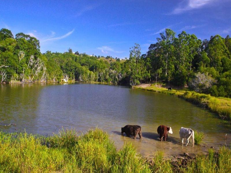 109 The Channon Road, Dunoon NSW 2480