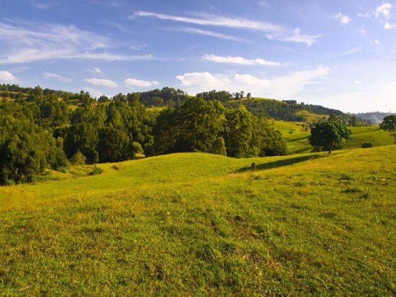 109 The Channon Road, Dunoon NSW 2480