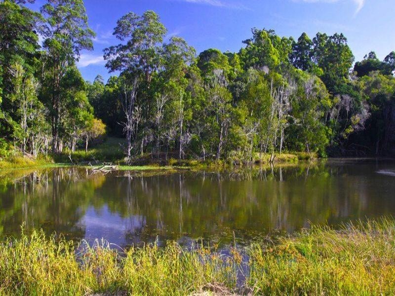 109 The Channon Road, Dunoon NSW 2480