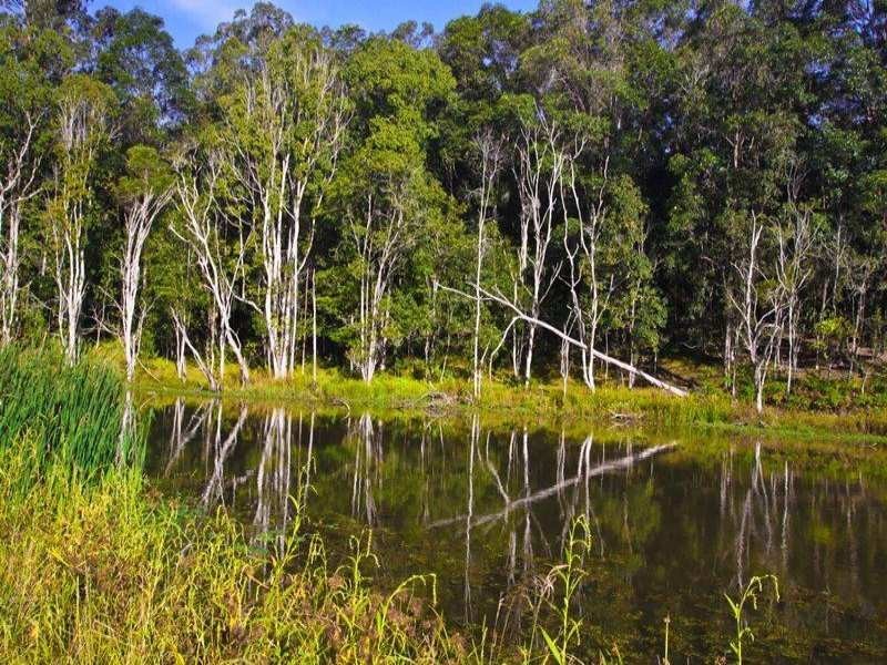 109 The Channon Road, Dunoon NSW 2480