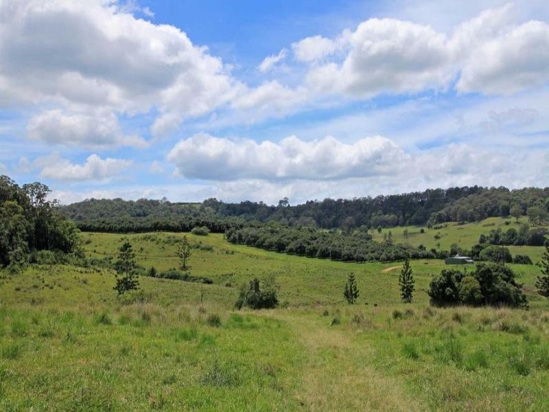 Lot 5 Henson Road, Wyrallah NSW 2480