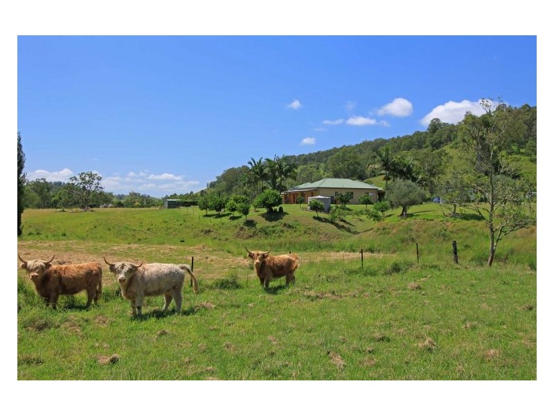 103 Yeager Road, Leycester NSW 2480