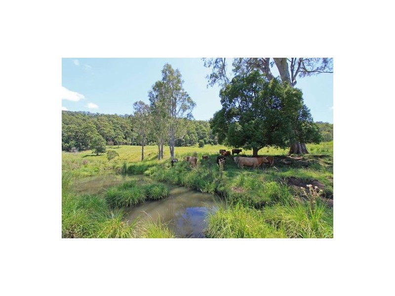 103 Yeager Road, Leycester NSW 2480