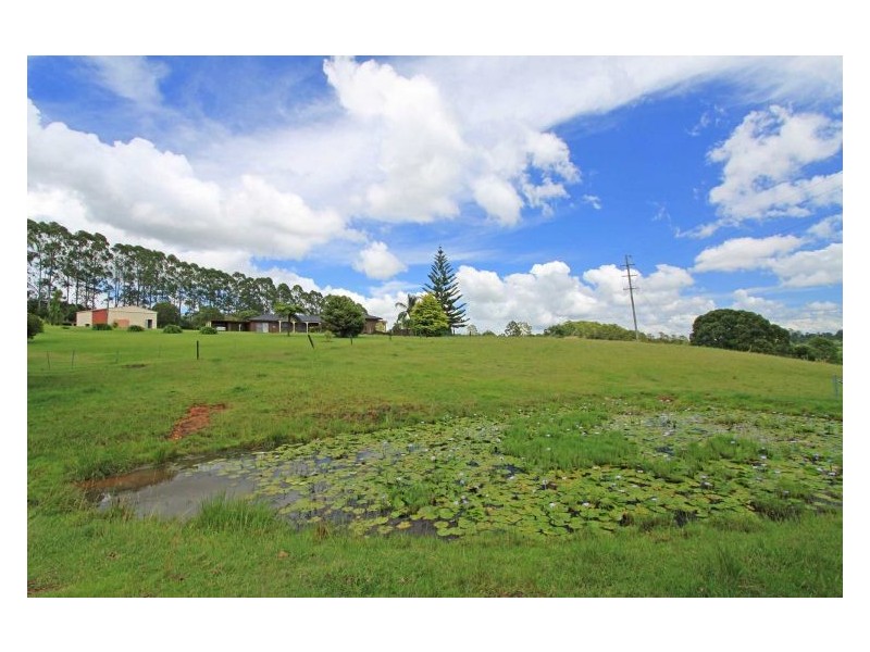 83 Muller Road, Tregeagle NSW 2480