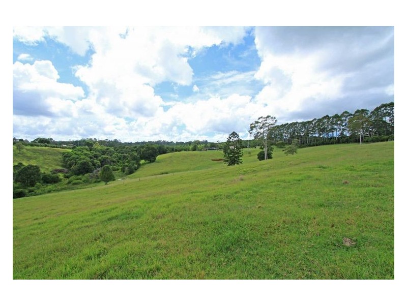 83 Muller Road, Tregeagle NSW 2480