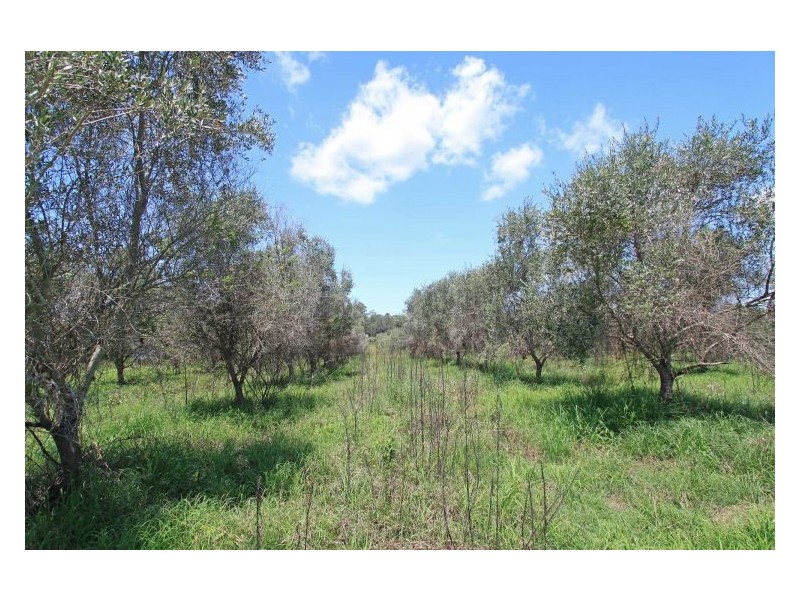 30 Smiths Road, Tatham NSW 2471
