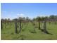 30 Smiths Road, Tatham NSW 2471