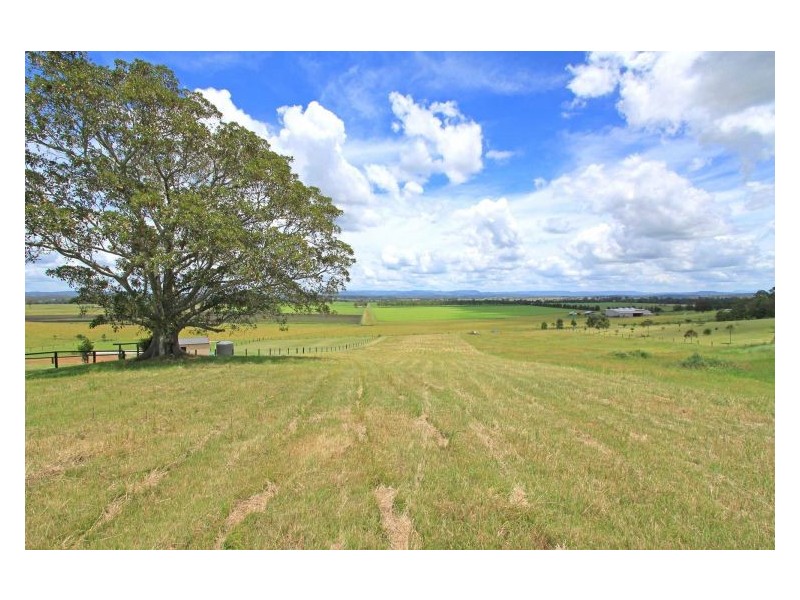 14 Daisy Place, Fairy Hill NSW 2470