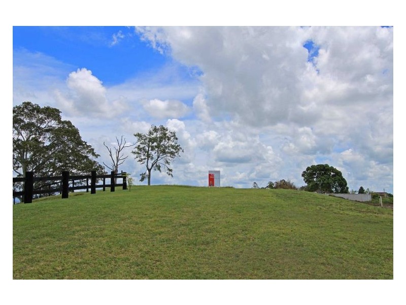 14 Daisy Place, Fairy Hill NSW 2470