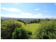 305 Rose Road, The Channon NSW 2480