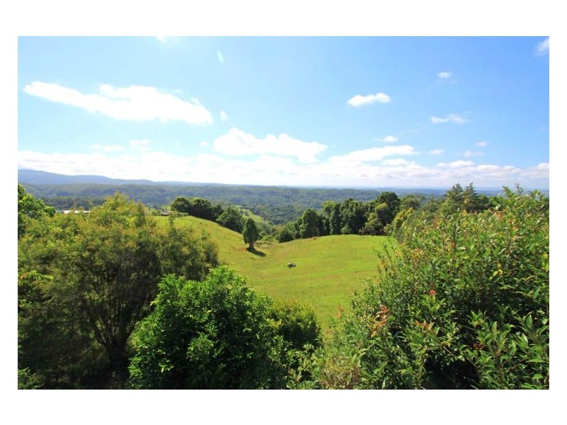 305 Rose Road, The Channon NSW 2480