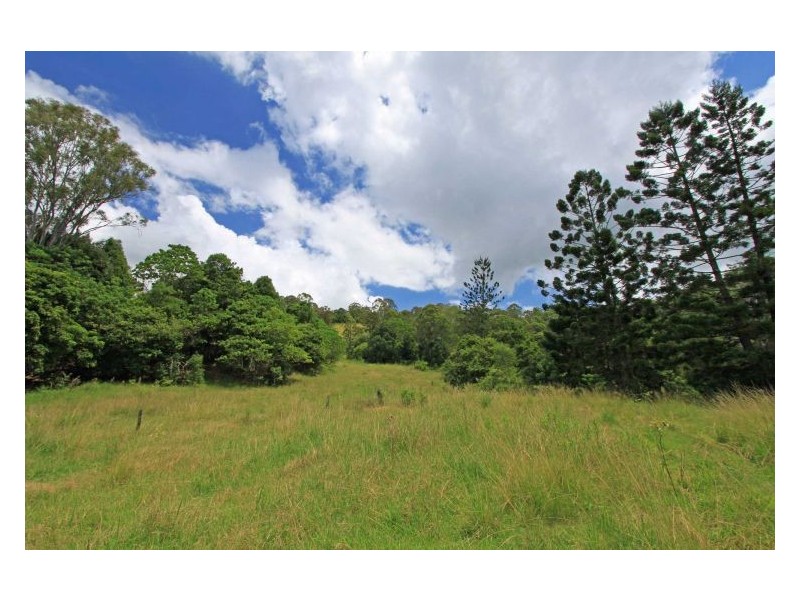 999 Jiggi Road, Jiggi NSW 2480