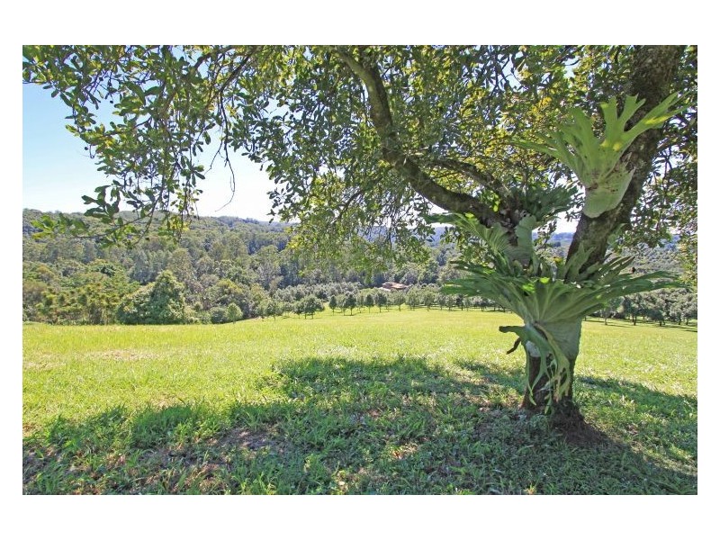 2205 Dunoon Road, Dorroughby NSW 2480