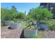 2 Duncan Road, Numulgi NSW 2480