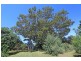 2 Duncan Road, Numulgi NSW 2480