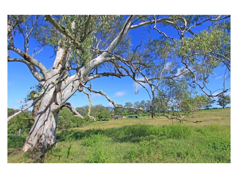 448 Dunoon Road, Tullera NSW 2480