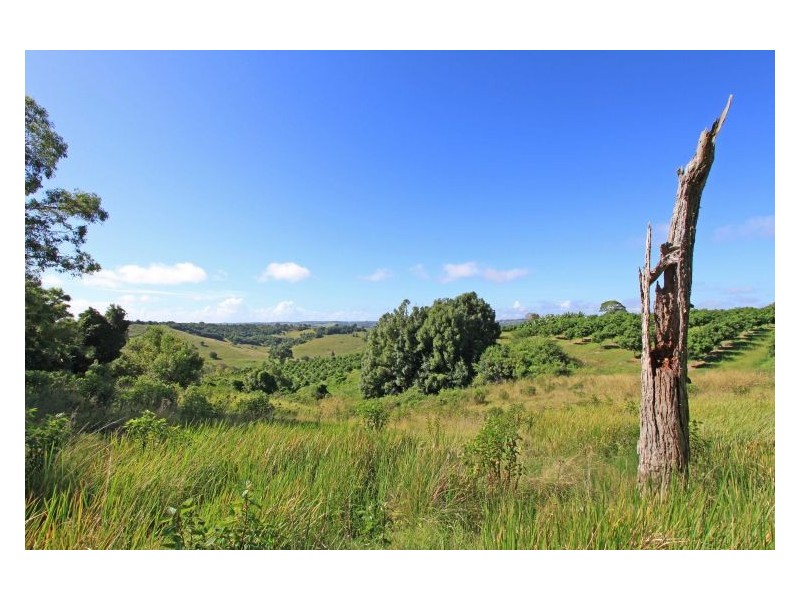 448 Dunoon Road, Tullera NSW 2480