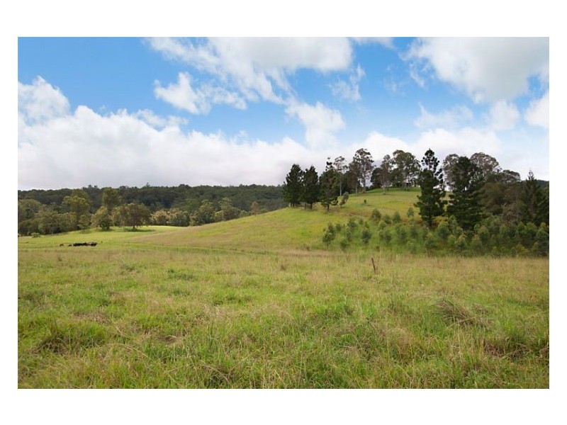 Chelmsford Road, Rock Valley NSW 2480