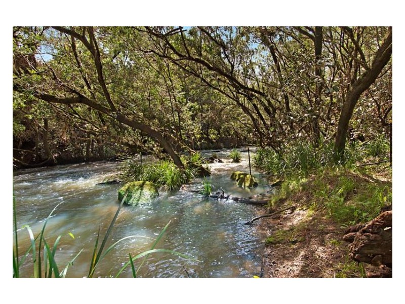 Chelmsford Road, Rock Valley NSW 2480