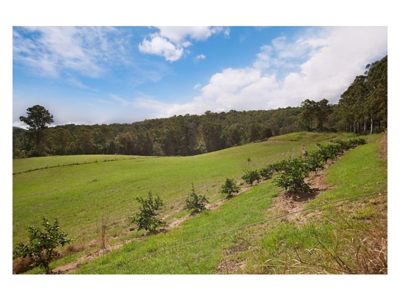 Chelmsford Road, Rock Valley NSW 2480