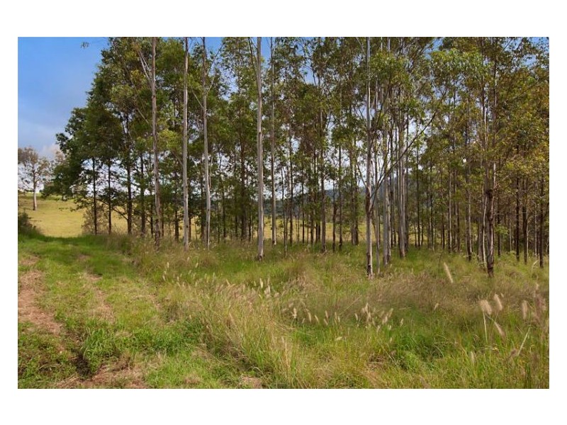 Chelmsford Road, Rock Valley NSW 2480