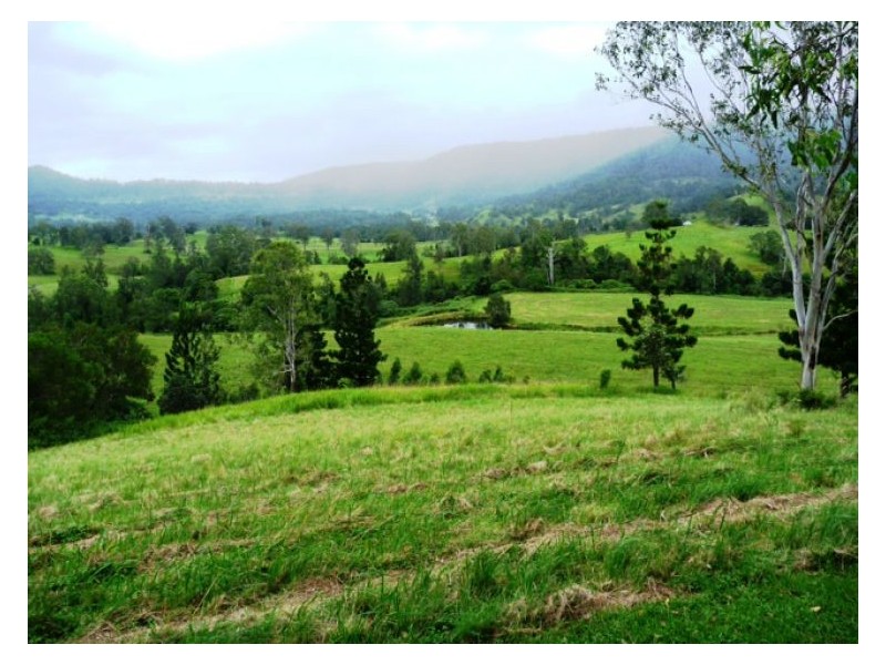 Chelmsford Road, Rock Valley NSW 2480