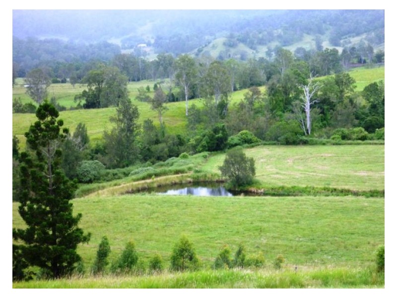 Chelmsford Road, Rock Valley NSW 2480