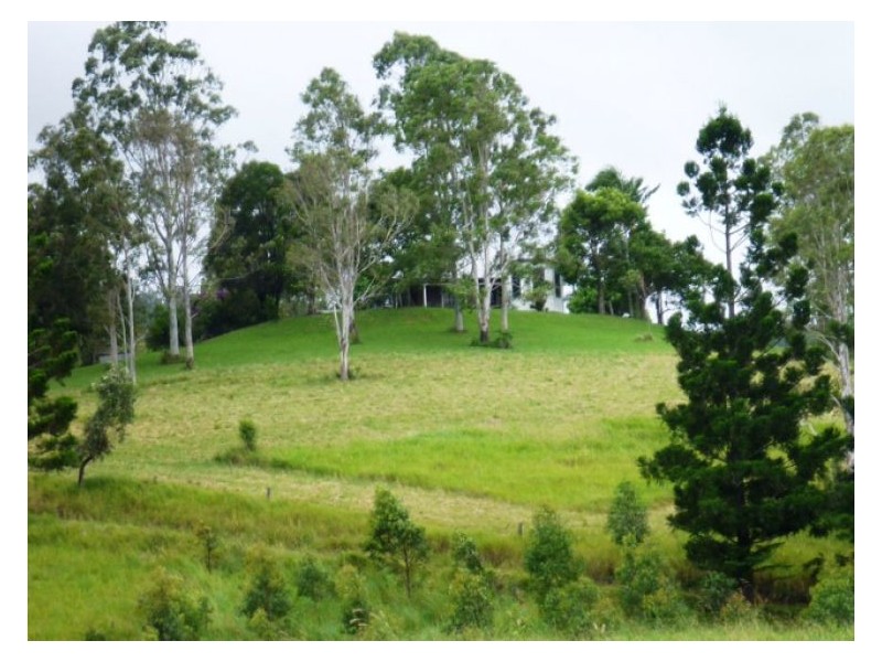 Chelmsford Road, Rock Valley NSW 2480