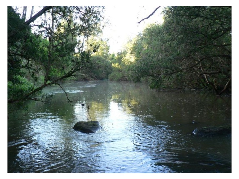 Chelmsford Road, Rock Valley NSW 2480