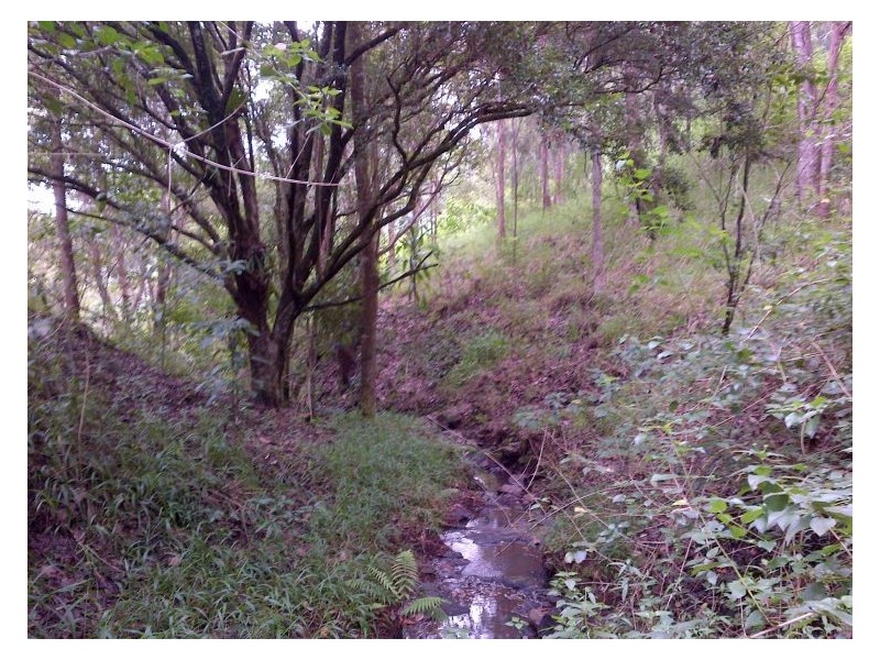 32 Jacobson Road, Georgica NSW 2480