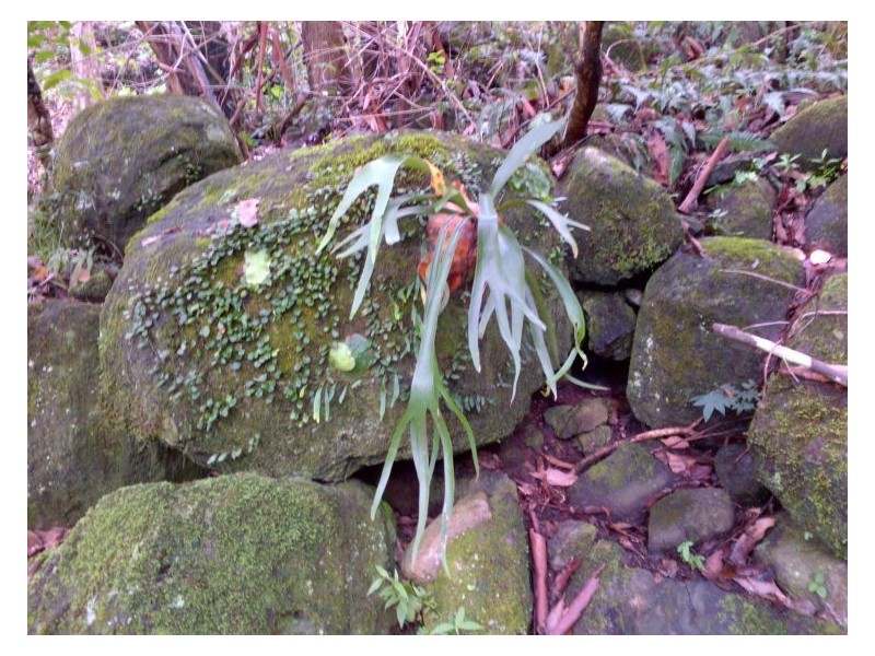 32 Jacobson Road, Georgica NSW 2480