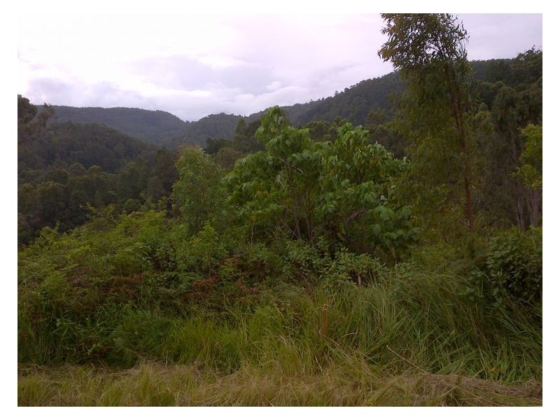 32 Jacobson Road, Georgica NSW 2480