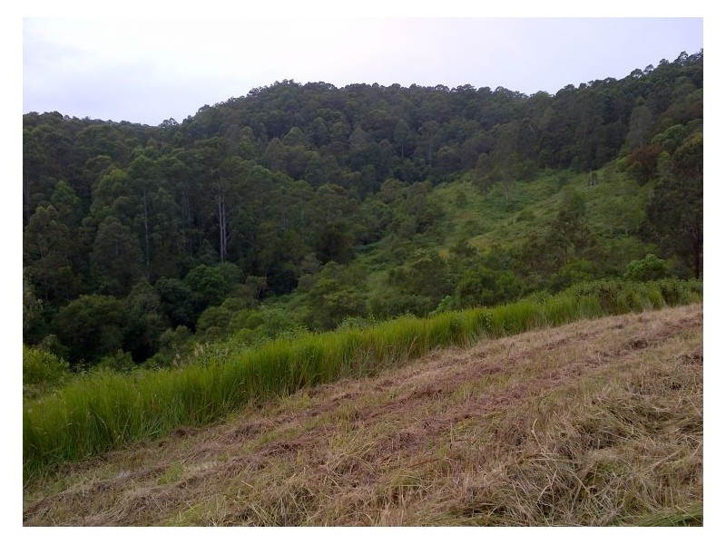 32 Jacobson Road, Georgica NSW 2480